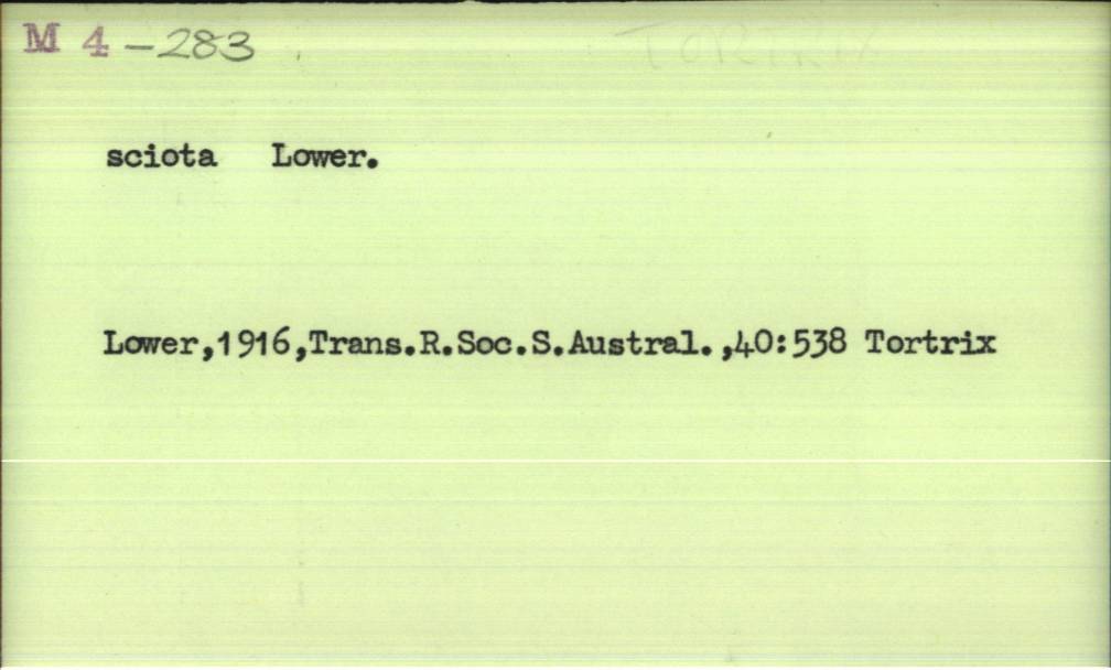 front of card